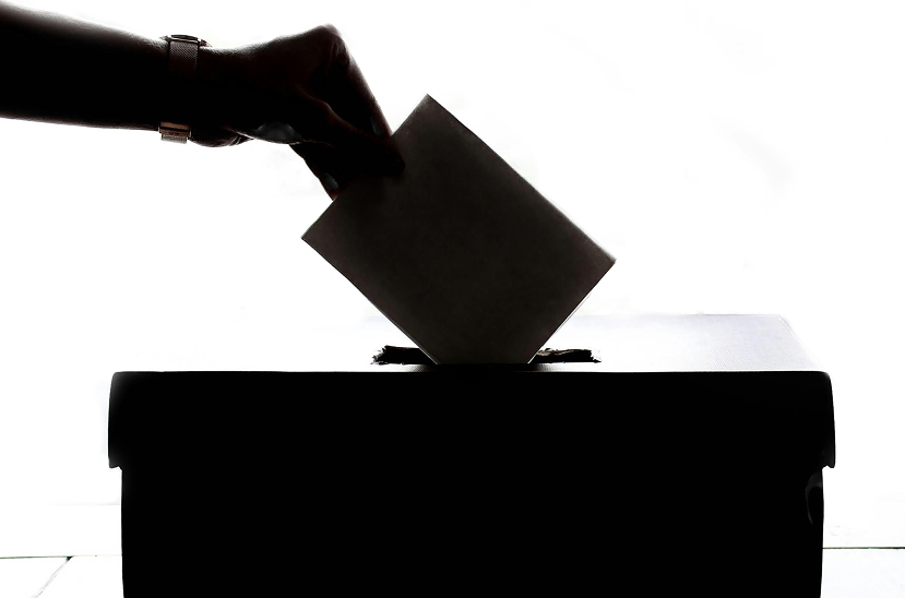 Hero image of electronic voting system